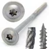 CTX Structural Screws